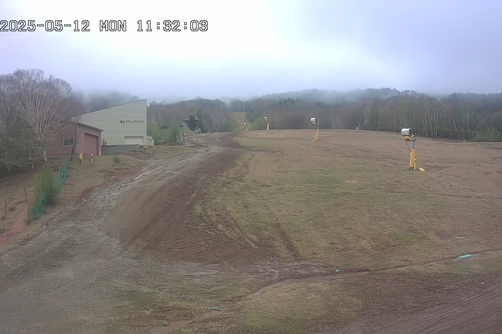Live Camera